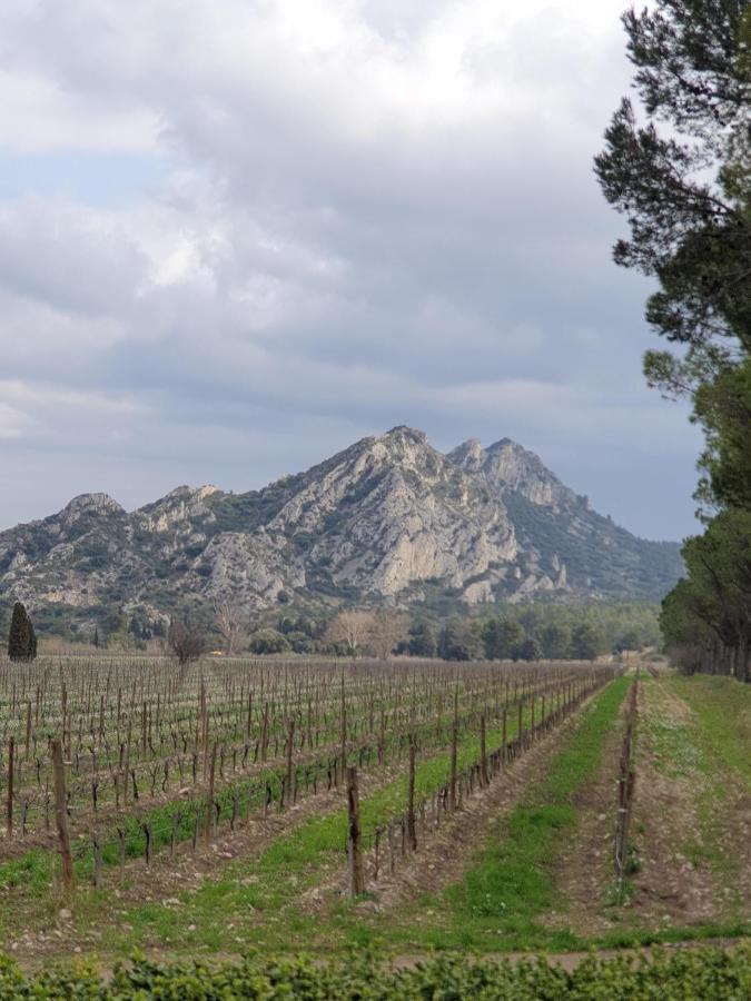 Les Estrelles Lejlighed Saint-Rémy-de-Provence Eksteriør billede